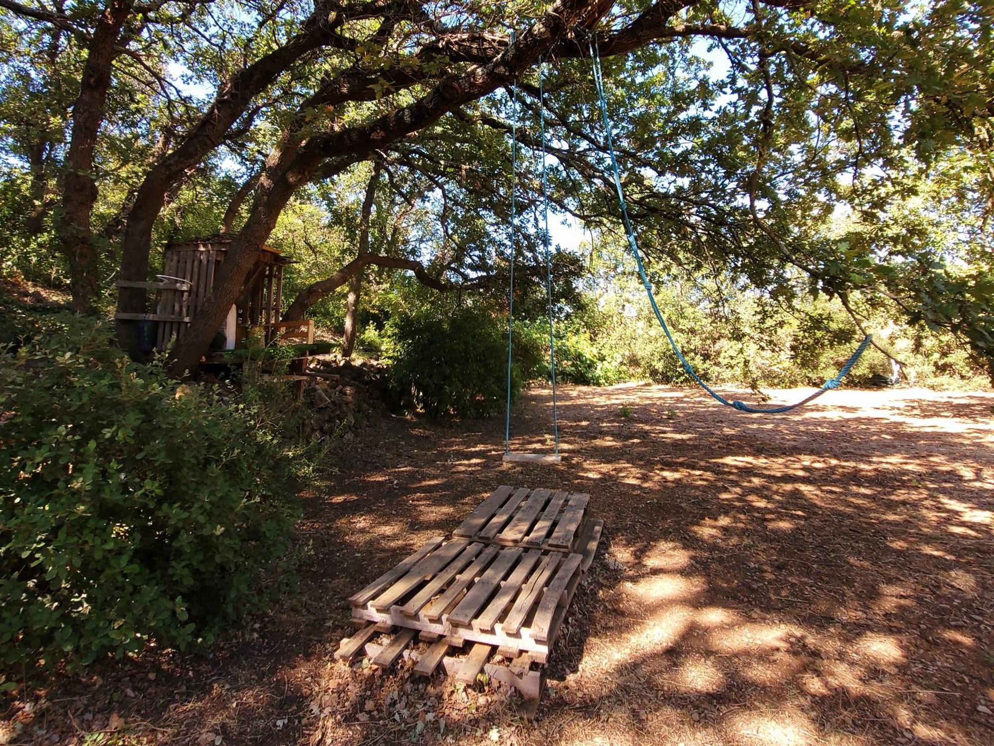 Villa Les Palmiers En Provence Besse-sur-Issole Eksteriør bilde